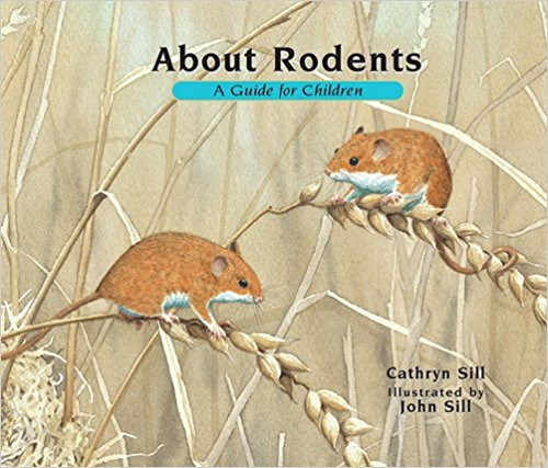 Characteristics of rodents