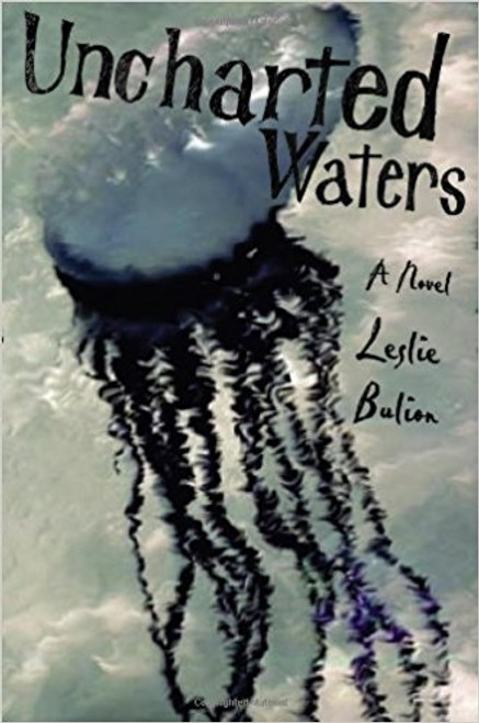 Uncharted Waters by Leslie Bulion