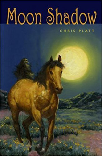 Moon Shadow by Chris Platt