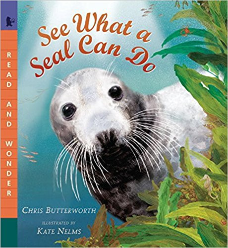 Describes the physical characteristics, habitat, and behavior of seals.