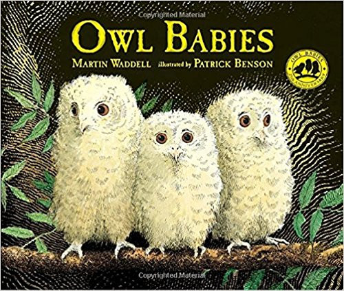 Never has the plight of young ones who miss their mother been so simply told or so beautifully rendered as in this tale of three baby owls who awaken one night to find their mother gone. Where is she? When will she be back? What scary things move in the night around them?