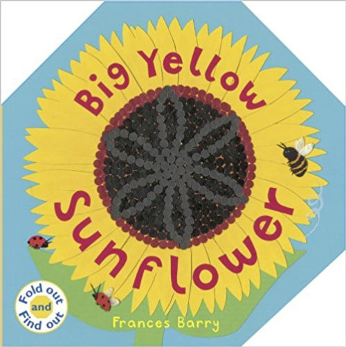 The youngest of readers can explore the wonders of things that grow in these Fold Out and Find Out books. Instructions for growing sunflowers and frogs are included. Full color.