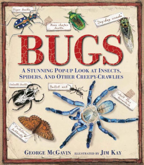 Bugs: A Stunning Pop-Up Lok at Insects, Spiders, and Other Creepy-Crawlies by George McGavin