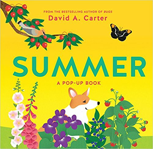 <p>Just in time for summer, this is the fourth and final book in the David Carter pop-up book series about the seasons. Each spread has a brief verse and depicts flora and fauna commonly found during the summer months. Pictures of strawberries, tomatoes, chipmunks, and more are labeled with simple text, making the book easy for very young readers to understand and enjoy.&nbsp;</p>