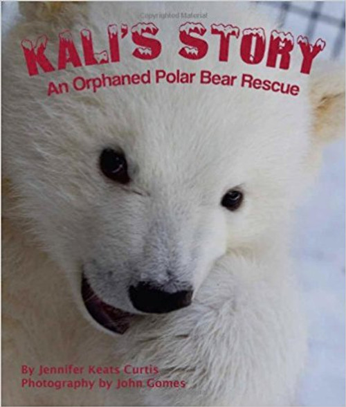 "Follow the photographic journey of orphaned polar bear Kali (pronounced Cully) as he is rescued and whisked away to the Inupiat village of Kali (Point Lay in English).  Villagers care for him until a plane flies him to the Alaska Zoo in Anchorage.  There, he grows and learns skills from zookeepers filling in for his mother.  Since young cubs need companionship, animal experts find a friend for Kali, Luna, a female polar bear, at the Buffalo Zoo in New York."