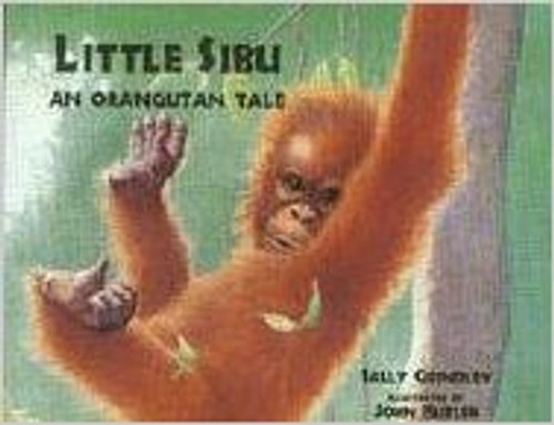 A young orangutan gradually learns from his mother how to take care of himself in the rainforest where they live.