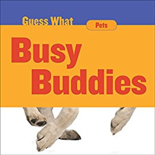 Busy Buddies by Felicia Macheske