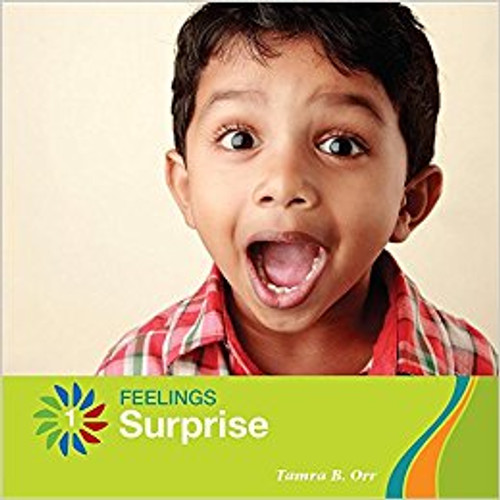 Surprise by Tamra B Orr