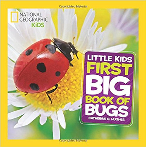Little Kids First Big Book of Bugs by Catherine D Hughes