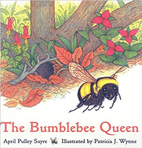 The Bubblebee Queen by April Pulley Sayre