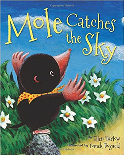 Mole Catches the Sky by Ellen Tarlow