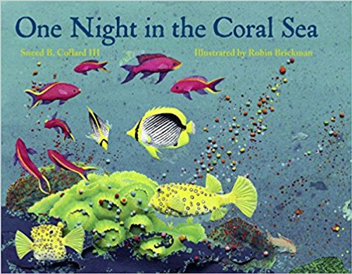 One Night in the Coral Sea by Sneed B Collard