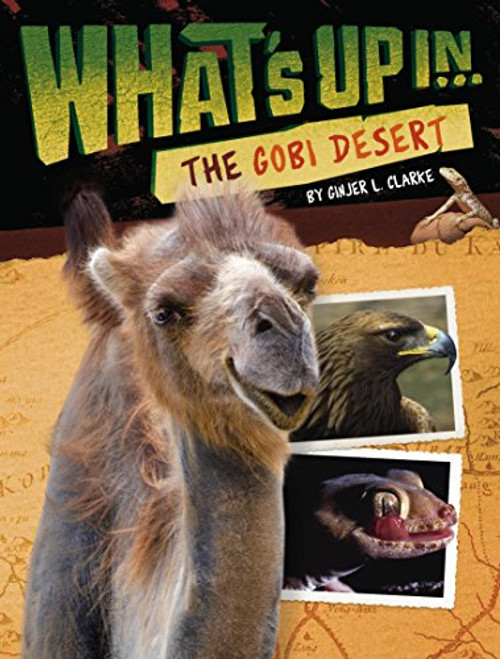 What's Up in the Gobi Desert by Ginger L Clarke