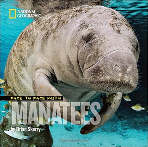 Face to Face with Manatees by Brian Skerry