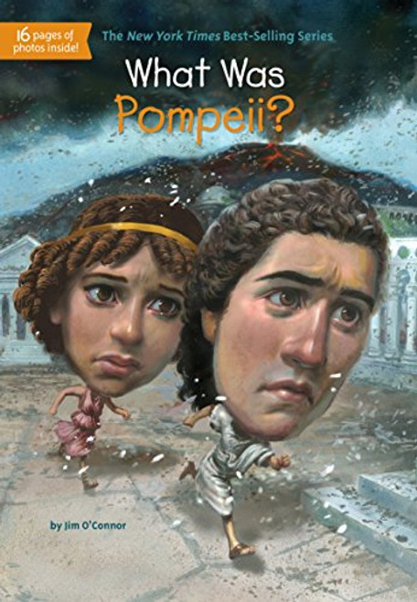 What Was Pompeii? by Jim O'Connor