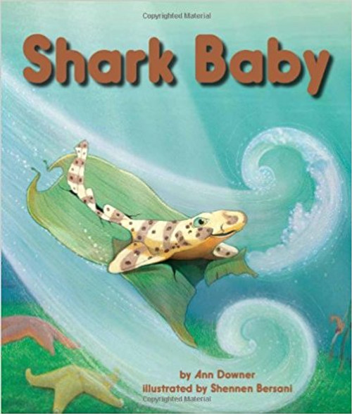 Shark Baby by Ann Downer Shark Baby by Ann Downer