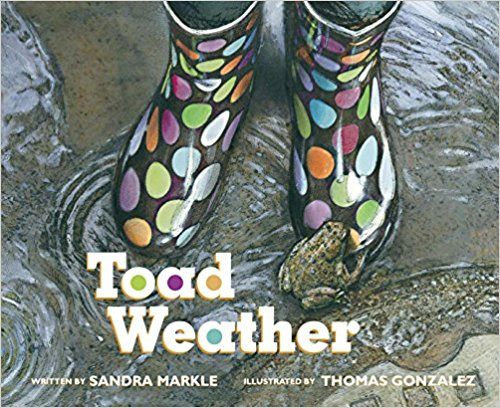 Toad Weather by Sandra Markle