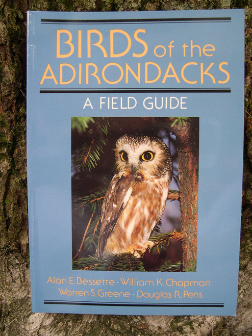 Birds of the Adirondacks