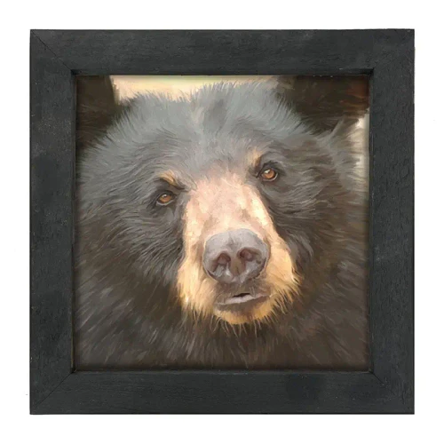 Up Close Black Bear Framed Print