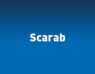 scarab