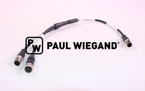 Cable adaptador Motec Ametek MK932.0,4 Cable en Y (79010591)