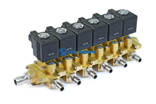 Steuerblock Scarab Magnum & Merlin komplett Wasseranlage 6-fach 24VDC (57010838)