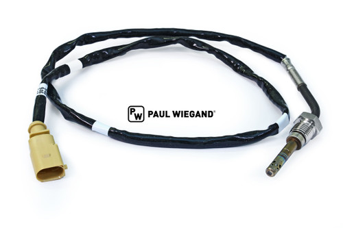 Temperatursensor Hako Citymaster 1600 Abgasanlage Abgasrohr Dieselpartikelfilter M14x1,5 lg: 700 (65014099)