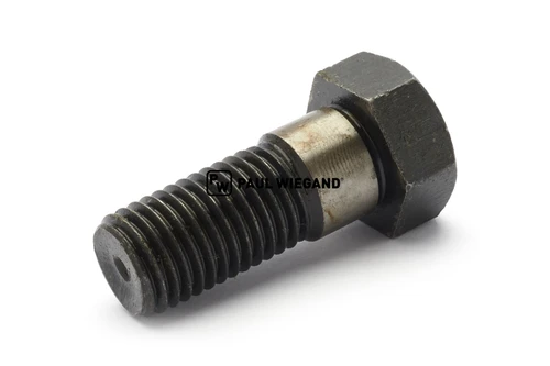 Tornillo de fijación DIN 609 M16x12 10,9 D: 17 l: 50 k6 (11130010)