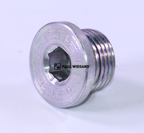 Verschlussschraube mit Innensechskant mit Magnet Radnabe G 3/8" (60056005)