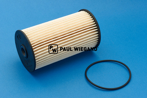 Filterelement Hako Citymaster 2000 inklusive Dichtring Kraftstofffilter Fahrmotor (65064065)