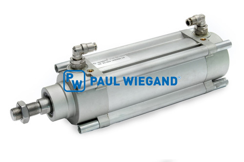 Pneumatikzylinder Scarab Magnum & Merlin KS: 20 Hub: 100 (57010548)