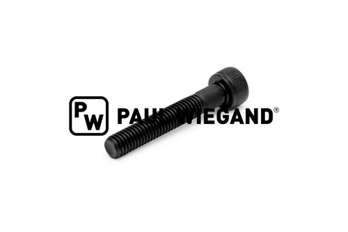 Tornillo de cabeza cilíndrica con hexágono interior DIN/ISO 912/4762 M5x30 en blanco 12.9 (90000874)