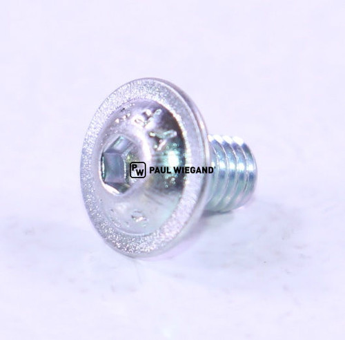 Tornillo de cabeza plana con hexágono interior Zöller 249 DIN/ISO 7985/7380-2 M4x6 galvanizado (11077164)