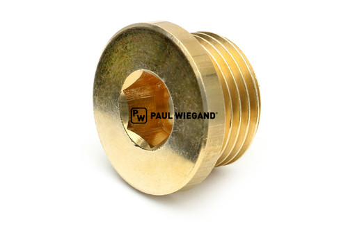 Tornillo de cierre hexagonal Bucher Municipal TAZ/TSZ cepillo barredor de cojinetes G1/2" (68900174)