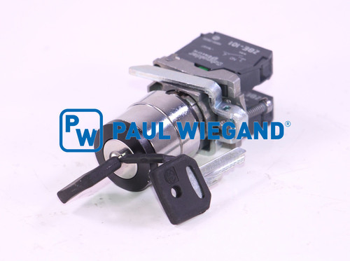 Schlüsselschalter Johnston C200 komplett 3-stufig  (67010409)