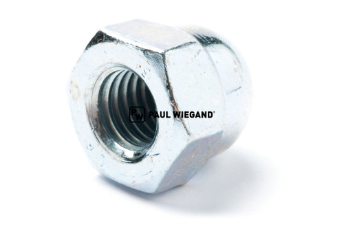 Tuerca hexagonal DIN 1587 M10 (11330157)