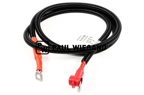 Juego de cables de la unidad de control Johnston VT/VS 501 Bastidor l: 2000 (67044037)