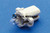 Bombilla de luz de instrumentos 12V 2W B8,3d (93000992)