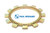 Anillo ABS RAVO 5-series eje delantero del cubo de rueda (60056125)