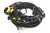 Juego de cables Bucher Municipal Citycat 2020 Chasis EURO 5 Tier3a (68034585)