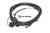 Cable adaptador Motec Ametek MK559.5 (79011100)