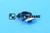 Abrazadera de manguera Schmidt Swingo serie 200 Manguera moldeada d: 20-32 an: 9 (63014880)