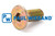 Tornillo avellanado con hexágono interior DIN/ISO 7991/10642 M12x30 galvanizado 10.9 (01027148)