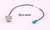 Cable adaptador Motec Ametek MK938.0,5 Scania (a partir de 2017) Premium Radio (79010578)