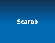 scarab