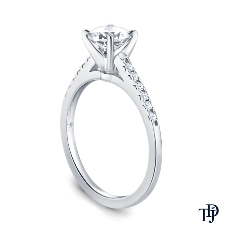 White Gold Cathedral Pave Diamond Engagement Ring with Center Diamond Side View