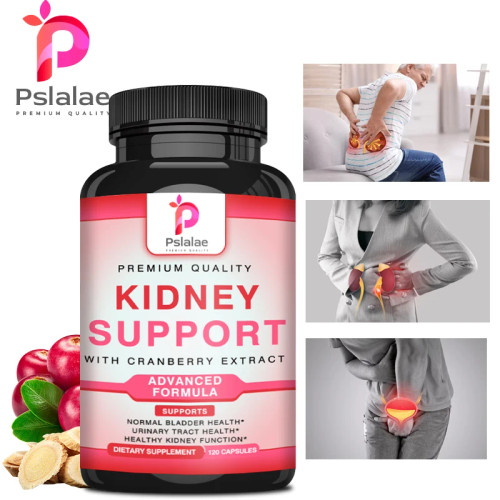 Kidney Support Supplements - Urinary Tract Support, Bladder Support and Kidney Health Supplements Kidney Support Supplements - Urinary Tract Support, Bladder Support and Kidney Health Supplements