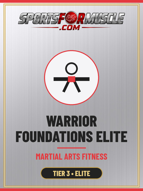 Warrior Foundations Elite – Martial Arts Fitness (Tier 3)