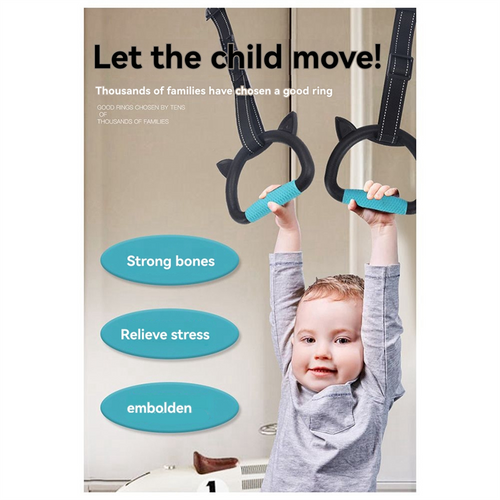 RTSHE-Professional Gymnastic Rings,Both For Adults And Kids,Home Fitness Equipment,Indoor And Outdoor Pull-Up RTSHE-Professional Gymnastic Rings,Both For Adults And Kids,Home Fitness Equipment,Indoor And Outdoor Pull-Up