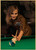 Vintage Billiards Wall Pictures Snooker Painting Modern Ball Sports Posters Prints for Living Room Club Wall Home Decor gift Vintage Billiards Wall Pictures Snooker Painting Modern Ball Sports Posters Prints for Living Room Club Wall Home Decor gift
